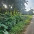  Land for sale in Khao Thong, Krabi, Khao Thong, Mueang Krabi