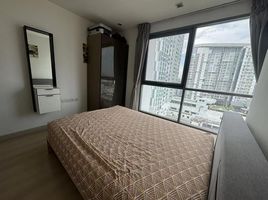 2 Schlafzimmer Wohnung zu vermieten im Ideo Mobi Sukhumvit 81, Bang Chak