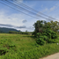  Land for sale in Pa Khlok, Thalang, Pa Khlok