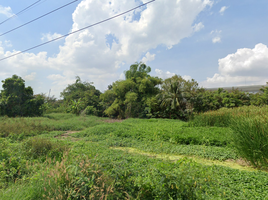  Land for sale in Lam Pla Thio, Lat Krabang, Lam Pla Thio