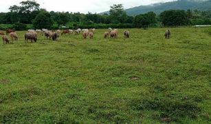 N/A Land for sale in Thung Chang, Nan 