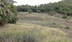 N/A Grundstück zu verkaufen in Pa Tueng, Chiang Rai 