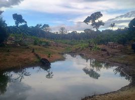  Grundstück zu verkaufen in Autazes, Amazonas, Autazes