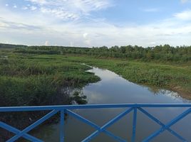  Grundstück zu verkaufen in Dau Tieng, Binh Duong, Dinh An