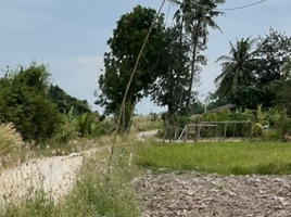  Grundstück zu verkaufen in Ban Bueng, Chon Buri, Nong Bon Daeng, Ban Bueng