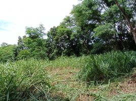  Land for sale in Nong Chabok, Mueang Nakhon Ratchasima, Nong Chabok