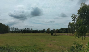 N/A Land for sale in Nong Saeng, Chai Nat 