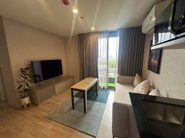 1 Bedroom Condo for rent at Ideo Mobi Sukhumvit East Point, Bang Na, Bang Na