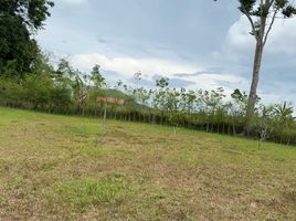  Grundstück zu verkaufen in Takua Thung, Phangnga, Lo Yung, Takua Thung, Phangnga