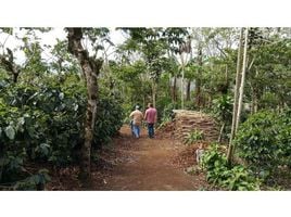  Land for sale in Alajuela, San Ramon, Alajuela