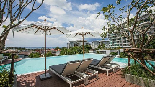 Фото 1 of the Communal Pool at Palmetto Condo