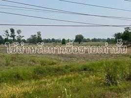  Land for sale in Uthai Thani, Sawang Arom, Sawang Arom, Uthai Thani