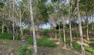 N/A Land for sale in Choeng Thale, Phuket 