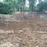  Land for sale in Nam Phrae, Hang Dong, Nam Phrae