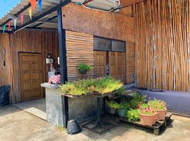  Земельный участок for sale in Pai, Mae Hong Son, Mae Hi, Pai