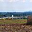  Land for sale in Mu Si, Nakhon Ratchasima, Mu Si