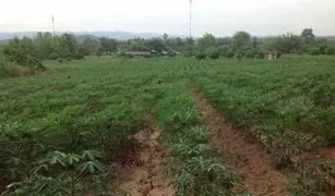 N/A Terrain a vendre à San Makhet, Chiang Rai 