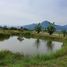  Land for sale in Loei, A Hi, Tha Li, Loei