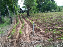  Land for sale in Ubon Ratchathani, Song, Nam Yuen, Ubon Ratchathani