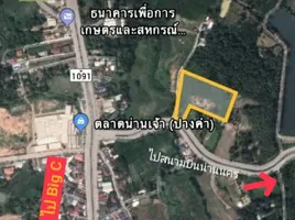  Grundstück zu verkaufen in Mueang Nan, Nan, Chai Sathan, Mueang Nan