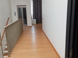 บ้านเดี่ยว 3 ห้องนอน ให้เช่า ในโครงการ ลักซ์ 35 รัชดา-ลาดพร้าว, จันทรเกษม