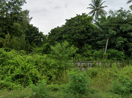  Grundstück zu verkaufen in Khanom, Nakhon Si Thammarat, Khanom