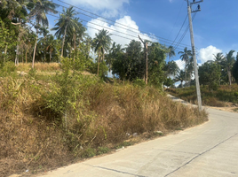  Land for sale in Bophut Beach, Bo Phut, Bo Phut