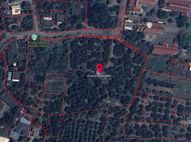  Land for sale in Nong Faek, Saraphi, Nong Faek