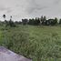  Land for sale in Ko Kret, Nonthaburi, Ko Kret