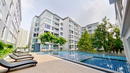 3D Walkthrough of the Communal Pool at Mayfair Place Sukhumvit 64