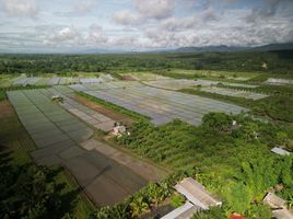 ขายที่ดิน ใน สันป่าตอง เชียงใหม่, บ้านแม, สันป่าตอง, เชียงใหม่