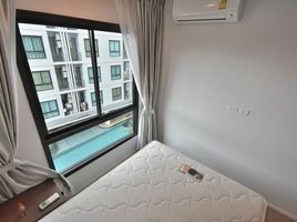 1 Bedroom Condo for rent at Notting Hill Sukhumvit 105, Bang Na, Bang Na