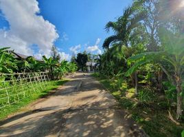  Land for sale in Phuket Town, Phuket, Wichit, Phuket Town