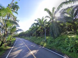 ขายที่ดิน ใน ท้ายเหมือง พังงา, ลำภี