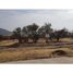  Land for sale at Colina, Colina, Chacabuco, Santiago