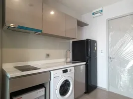 Studio Wohnung zu vermieten im Life Sukhumvit 62, Bang Chak, Phra Khanong