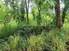  Land for sale in Na Wang Hin, Pattaya, Na Wang Hin, Phanat Nikhom