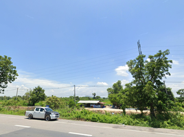  Land for sale in Suea Hok, Mueang Chai Nat, Suea Hok