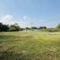  Land for sale in Mae Rim Chiang Mai, Huai Sai, Mae Rim, Chiang Mai