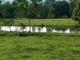  Grundstück zu verkaufen in Mae Taeng, Chiang Mai, Sop Poeng, Mae Taeng