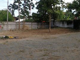  Land for sale in Ban Paen, Mueang Lamphun, Ban Paen