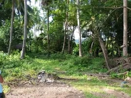  Grundstück zu verkaufen in Koh Samui, Surat Thani, Taling Ngam