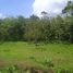  Land for sale in Phuket, Si Sunthon, Thalang, Phuket