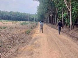  Grundstück zu verkaufen in Dau Tieng, Binh Duong, Minh Hoa