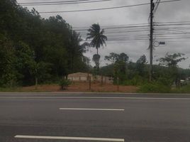  Grundstück zu verkaufen in Takua Thung, Phangnga, Lo Yung, Takua Thung
