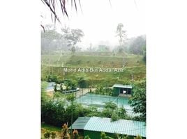  Land for sale in Padang Masirat, Langkawi, Padang Masirat