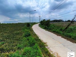  Land for sale in Pluak Daeng, Rayong, Map Yang Phon, Pluak Daeng