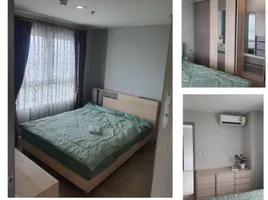 1 Schlafzimmer Wohnung zu vermieten im Rich Park at Chaophraya, Sai Ma, Mueang Nonthaburi, Nonthaburi