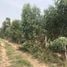  Land for sale in Mueang Nakhon Ratchasima, Nakhon Ratchasima, Hua Thale, Mueang Nakhon Ratchasima