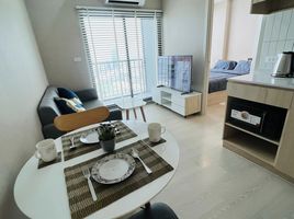 1 Schlafzimmer Appartement zu vermieten im Nue Noble Srinakarin - Lasalle, Samrong Nuea, Mueang Samut Prakan